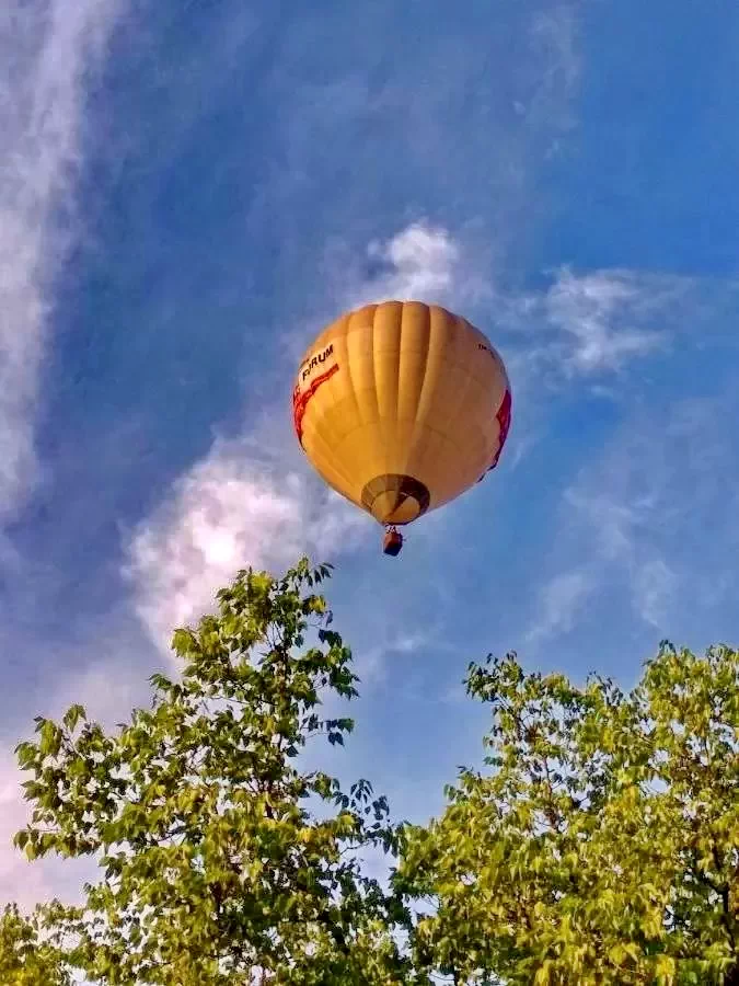 Debrecen Szállás | Panzió (K0665-30) A kép szerzői jogvédelem alatt állhat. Javasolt a kapcsolatfelvétel a jog tulajdonossal. Debrecen Szállás | Panzió (K0665-30) A kép szerzői jogvédelem alatt állhat. Javasolt a kapcsolatfelvétel a jog tulajdonossal.