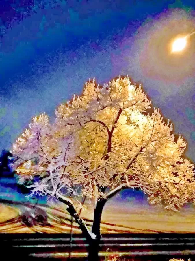 Debrecen Szállás | Panzió (K0665-31) A kép szerzői jogvédelem alatt állhat. Javasolt a kapcsolatfelvétel a jog tulajdonossal. Debrecen Szállás | Panzió (K0665-31) A kép szerzői jogvédelem alatt állhat. Javasolt a kapcsolatfelvétel a jog tulajdonossal.