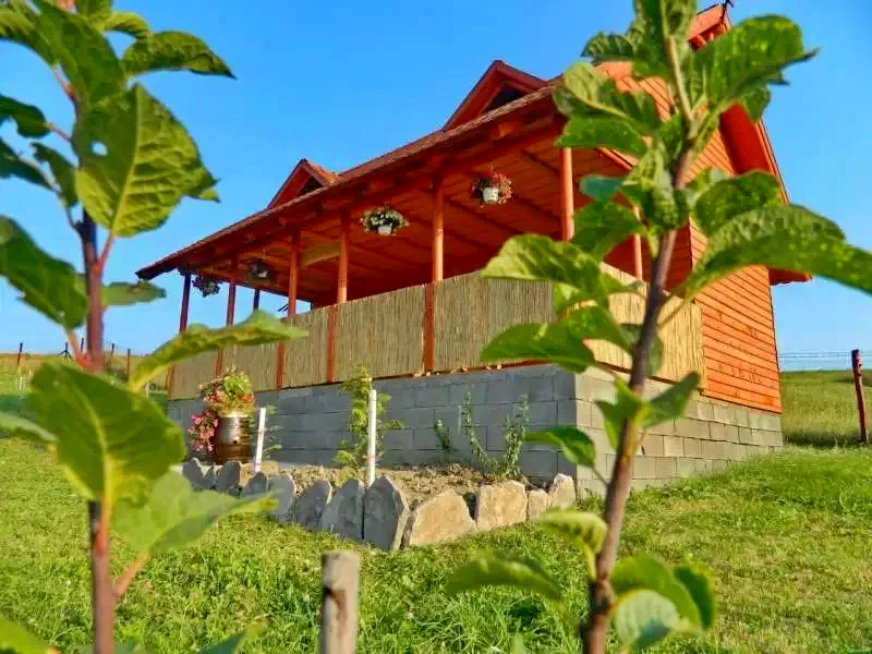 Lupeni Cazare | Casă de oaspeți (K0365-22) Imaginea poate fi supusă drepturilor de autor. Se recomandă contactarea titularului drepturilor. Lupeni Cazare | Casă de oaspeți (K0365-22) Imaginea poate fi supusă drepturilor de autor. Se recomandă contactarea titularului drepturilor.