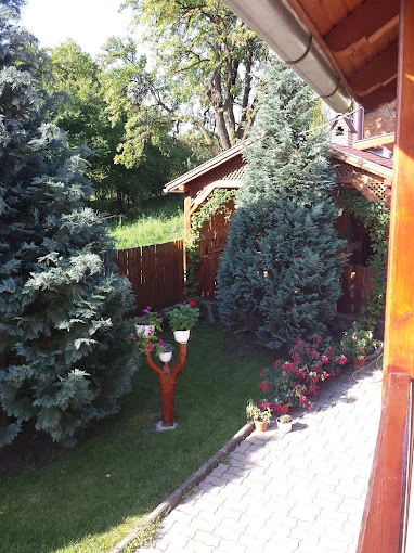 Farkaslaka Szállás | Hotel**** (K0365-32) A kép szerzői jogvédelem alatt állhat. Javasolt a kapcsolatfelvétel a jog tulajdonossal.