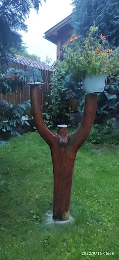 Farkaslaka Szállás | Hotel**** (K0365-36) A kép szerzői jogvédelem alatt állhat. Javasolt a kapcsolatfelvétel a jog tulajdonossal.