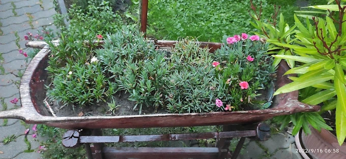 Farkaslaka Szállás | Hotel**** (K0365-37) A kép szerzői jogvédelem alatt állhat. Javasolt a kapcsolatfelvétel a jog tulajdonossal.