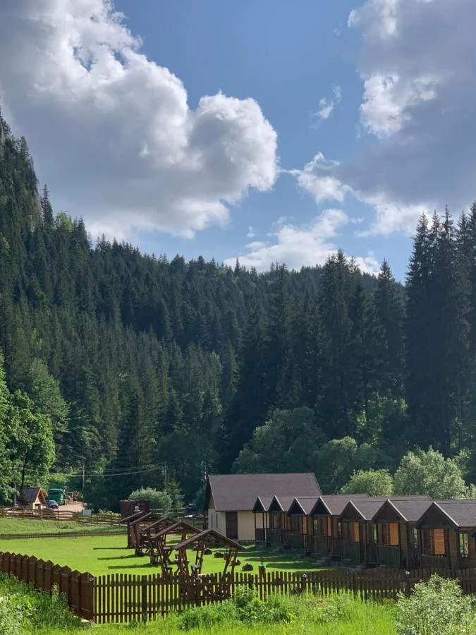 Cazare Lacu Roșu - Căsuțele Suhardul Mic | Gyilkos-tó - Kiscohárd Faházak. Imaginea poate fi supusă drepturilor de autor. Se recomandă contactarea titularului drepturilor.