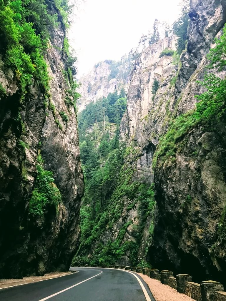 Lacu Roșu Cazare | Sat de vacanță (K0950-70) Imaginea poate fi supusă drepturilor de autor. Se recomandă contactarea titularului drepturilor.