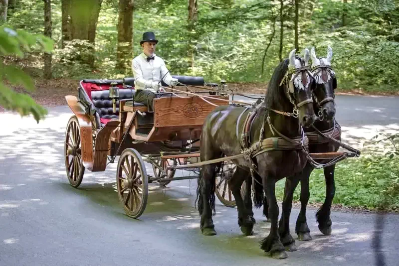 Cazare Sovata - Pensiunea Elisabeta** | Szováta - Erzsébet Panzió**. Imaginea poate fi supusă drepturilor de autor. Se recomandă contactarea titularului drepturilor.