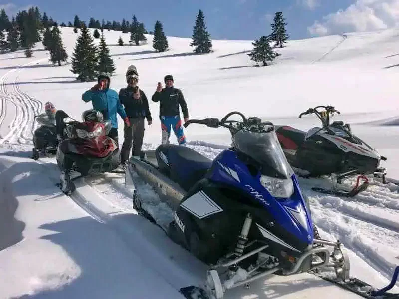 Cazare Padiș - Cabanele Five Chalets | Pádis - Five Chalets Kulcsosházak . Imaginea poate fi supusă drepturilor de autor. Se recomandă contactarea titularului drepturilor.