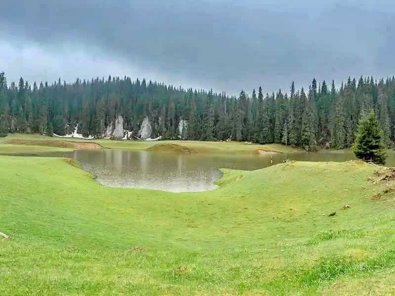 Cazare Padiș - Cabanele Five Chalets | Pádis - Five Chalets Kulcsosházak . Imaginea poate fi supusă drepturilor de autor. Se recomandă contactarea titularului drepturilor.