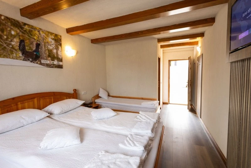 Cazare Padiș - Cabanele Five Chalets | Pádis - Five Chalets Kulcsosházak . Imaginea poate fi supusă drepturilor de autor. Se recomandă contactarea titularului drepturilor.