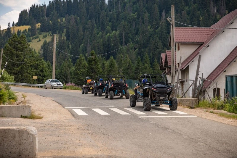 Cazare Padiș - Cabanele Five Chalets | Pádis - Five Chalets Kulcsosházak . Imaginea poate fi supusă drepturilor de autor. Se recomandă contactarea titularului drepturilor.