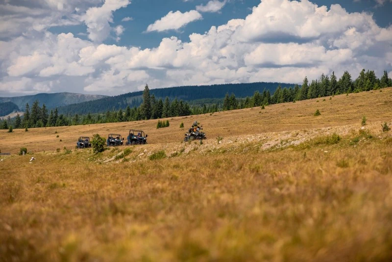 Cazare Padiș - Cabanele Five Chalets | Pádis - Five Chalets Kulcsosházak . Imaginea poate fi supusă drepturilor de autor. Se recomandă contactarea titularului drepturilor.