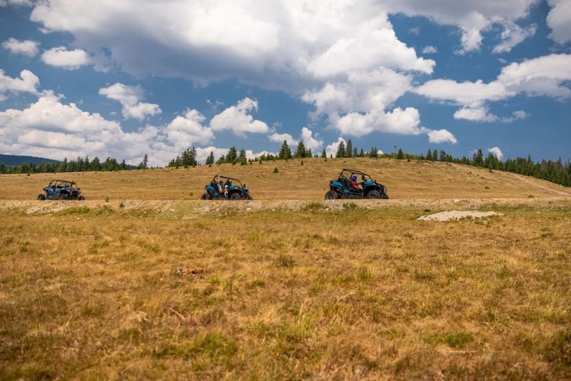 Cazare Padiș - Cabanele Five Chalets | Pádis - Five Chalets Kulcsosházak . Imaginea poate fi supusă drepturilor de autor. Se recomandă contactarea titularului drepturilor.
