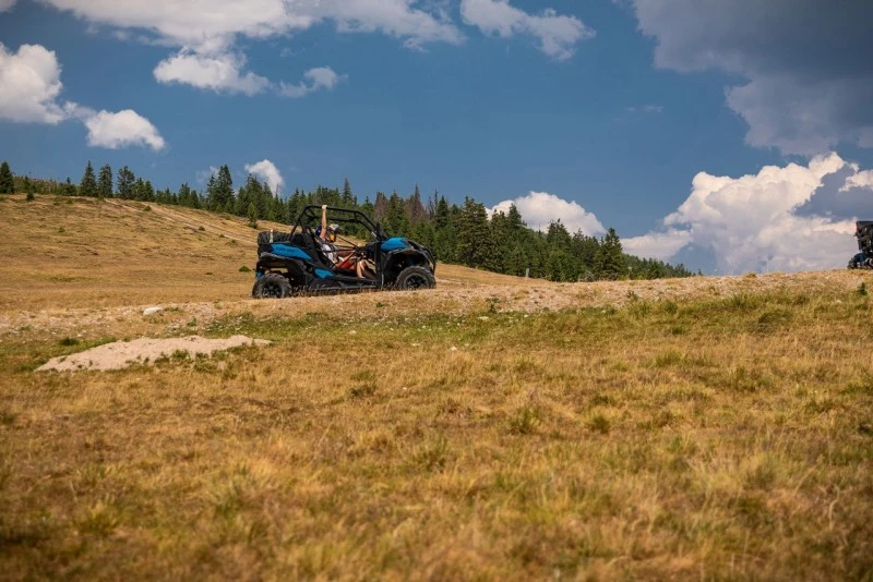 Cazare Padiș - Cabanele Five Chalets | Pádis - Five Chalets Kulcsosházak . Imaginea poate fi supusă drepturilor de autor. Se recomandă contactarea titularului drepturilor.