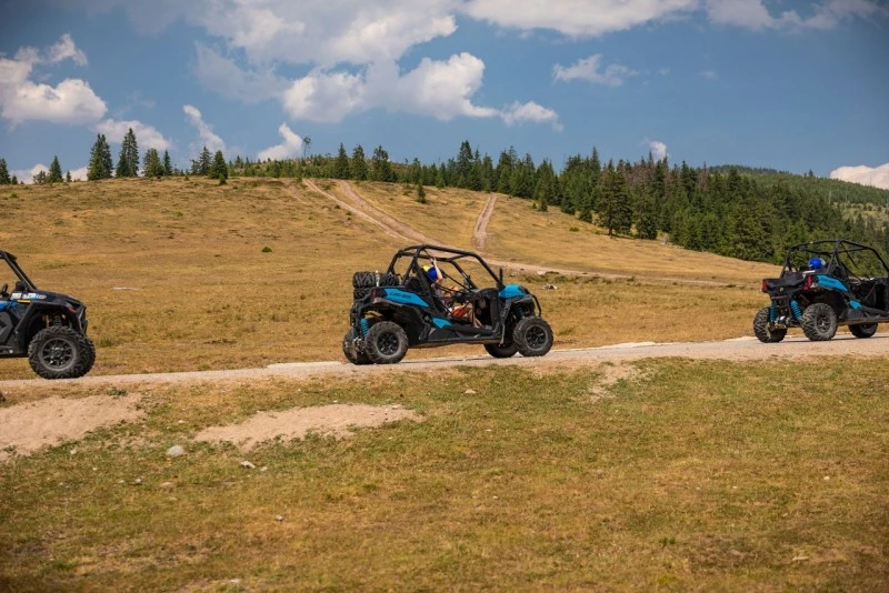 Cazare Padiș - Cabanele Five Chalets | Pádis - Five Chalets Kulcsosházak . Imaginea poate fi supusă drepturilor de autor. Se recomandă contactarea titularului drepturilor.