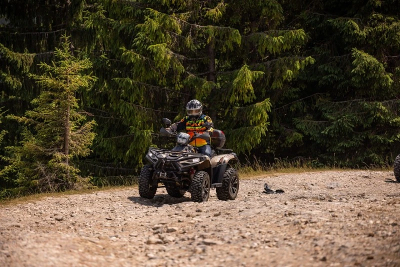 Cazare Padiș - Cabanele Five Chalets | Pádis - Five Chalets Kulcsosházak . Imaginea poate fi supusă drepturilor de autor. Se recomandă contactarea titularului drepturilor.