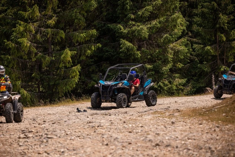 Cazare Padiș - Cabanele Five Chalets | Pádis - Five Chalets Kulcsosházak . Imaginea poate fi supusă drepturilor de autor. Se recomandă contactarea titularului drepturilor.