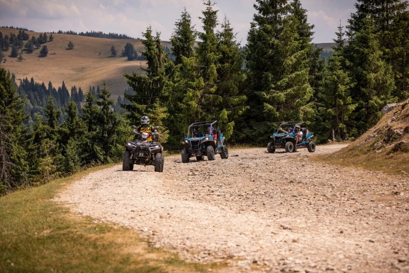 Cazare Padiș - Cabanele Five Chalets | Pádis - Five Chalets Kulcsosházak . Imaginea poate fi supusă drepturilor de autor. Se recomandă contactarea titularului drepturilor.