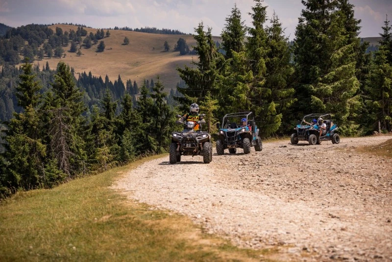 Cazare Padiș - Cabanele Five Chalets | Pádis - Five Chalets Kulcsosházak . Imaginea poate fi supusă drepturilor de autor. Se recomandă contactarea titularului drepturilor.