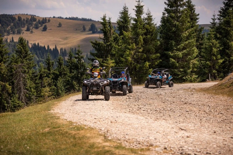 Cazare Padiș - Cabanele Five Chalets | Pádis - Five Chalets Kulcsosházak . Imaginea poate fi supusă drepturilor de autor. Se recomandă contactarea titularului drepturilor.