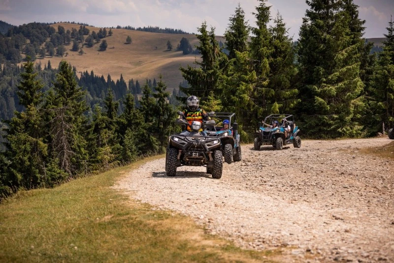 Cazare Padiș - Cabanele Five Chalets | Pádis - Five Chalets Kulcsosházak . Imaginea poate fi supusă drepturilor de autor. Se recomandă contactarea titularului drepturilor.