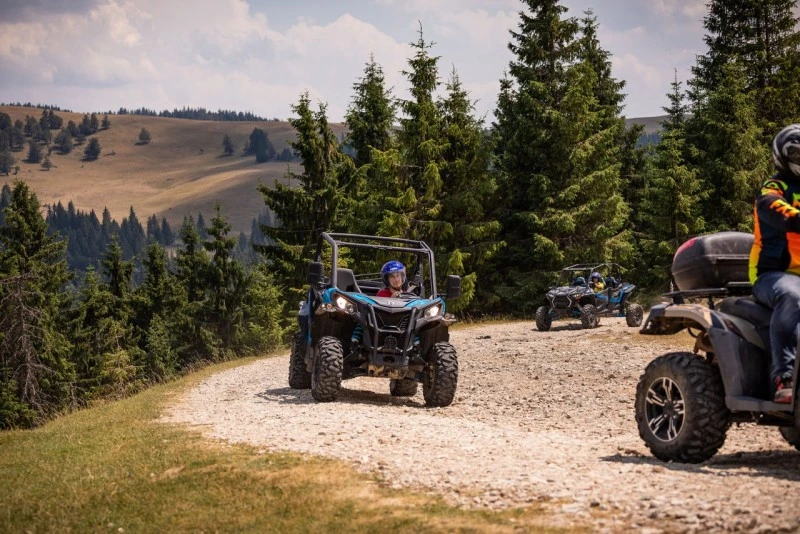 Cazare Padiș - Cabanele Five Chalets | Pádis - Five Chalets Kulcsosházak . Imaginea poate fi supusă drepturilor de autor. Se recomandă contactarea titularului drepturilor.