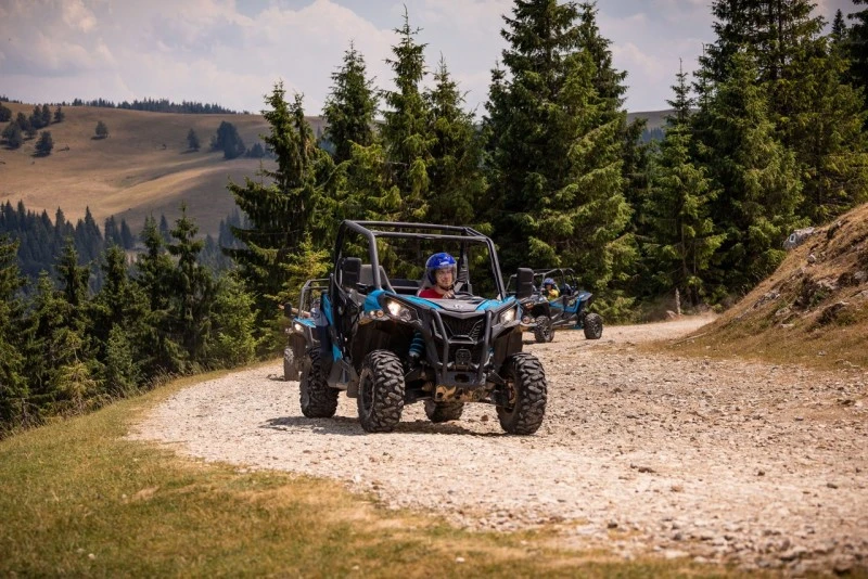 Cazare Padiș - Cabanele Five Chalets | Pádis - Five Chalets Kulcsosházak . Imaginea poate fi supusă drepturilor de autor. Se recomandă contactarea titularului drepturilor.