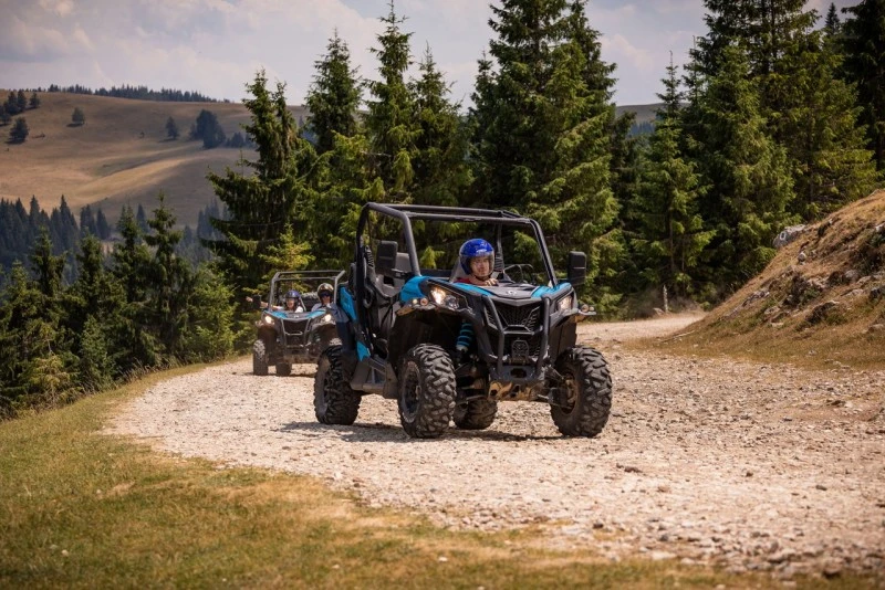 Cazare Padiș - Cabanele Five Chalets | Pádis - Five Chalets Kulcsosházak . Imaginea poate fi supusă drepturilor de autor. Se recomandă contactarea titularului drepturilor.