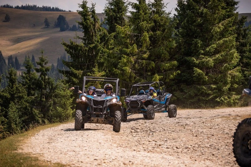 Cazare Padiș - Cabanele Five Chalets | Pádis - Five Chalets Kulcsosházak . Imaginea poate fi supusă drepturilor de autor. Se recomandă contactarea titularului drepturilor.