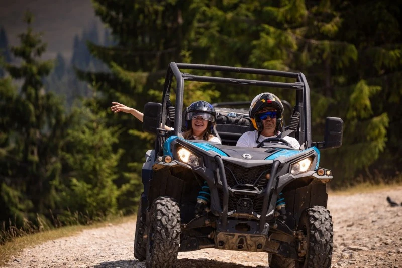 Cazare Padiș - Cabanele Five Chalets | Pádis - Five Chalets Kulcsosházak . Imaginea poate fi supusă drepturilor de autor. Se recomandă contactarea titularului drepturilor.