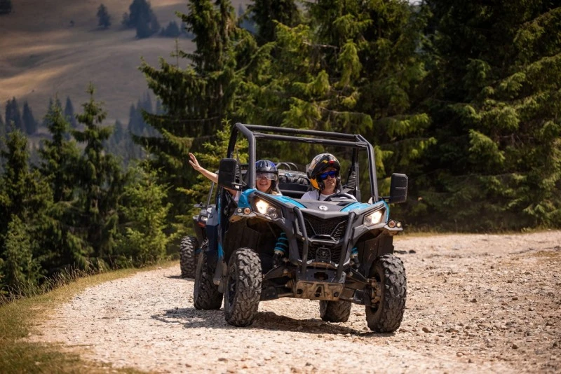 Cazare Padiș - Cabanele Five Chalets | Pádis - Five Chalets Kulcsosházak . Imaginea poate fi supusă drepturilor de autor. Se recomandă contactarea titularului drepturilor.