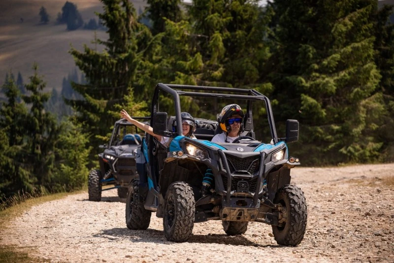 Cazare Padiș - Cabanele Five Chalets | Pádis - Five Chalets Kulcsosházak . Imaginea poate fi supusă drepturilor de autor. Se recomandă contactarea titularului drepturilor.