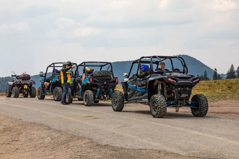 Cazare Padiș - Cabanele Five Chalets | Pádis - Five Chalets Kulcsosházak . Imaginea poate fi supusă drepturilor de autor. Se recomandă contactarea titularului drepturilor.