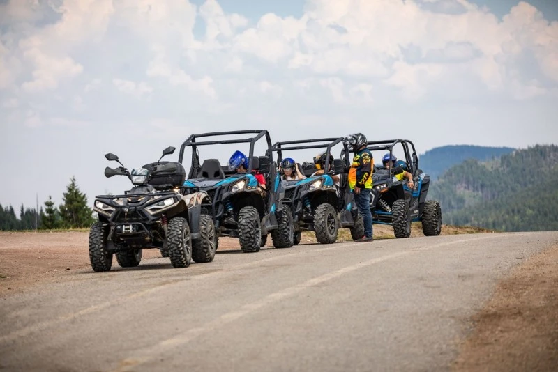 Cazare Padiș - Cabanele Five Chalets | Pádis - Five Chalets Kulcsosházak . Imaginea poate fi supusă drepturilor de autor. Se recomandă contactarea titularului drepturilor.