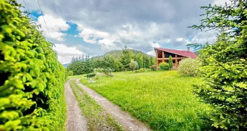 Gheorgheni Cazare | Cabană (K0222-10) Imaginea poate fi supusă drepturilor de autor. Se recomandă contactarea titularului drepturilor. Gheorgheni Cazare | Cabană (K0222-10) Imaginea poate fi supusă drepturilor de autor. Se recomandă contactarea titularului drepturilor.