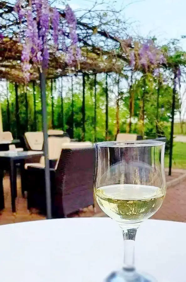 Oradea Cazare | Pensiune turistică (K1391-27) Imaginea poate fi supusă drepturilor de autor. Se recomandă contactarea titularului drepturilor.