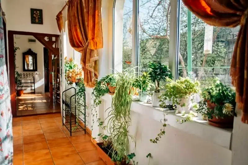 Cornești Cazare | Motel (K0114-1) Imaginea poate fi supusă drepturilor de autor. Se recomandă contactarea titularului drepturilor.