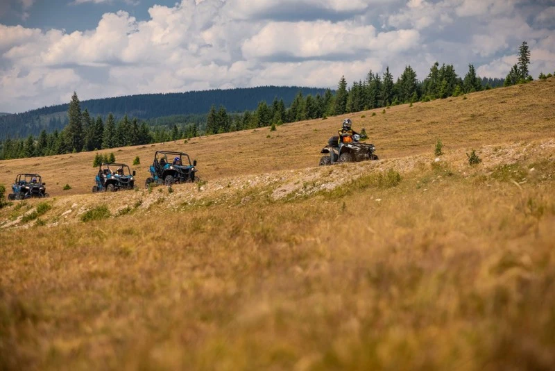 Cazare Padiș - Cabanele Five Chalets | Pádis - Five Chalets Kulcsosházak . Imaginea poate fi supusă drepturilor de autor. Se recomandă contactarea titularului drepturilor.