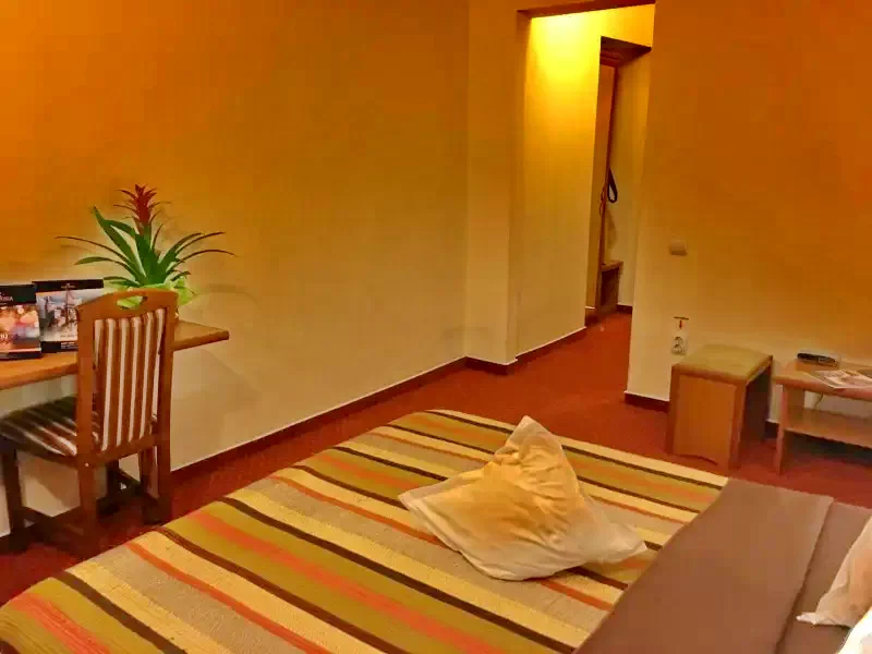 Cazare Hunedoara - Hotel Rusca*** | Vajdahunyad - Rusca Hotel***. Imaginea poate fi supusă drepturilor de autor. Se recomandă contactarea titularului drepturilor.