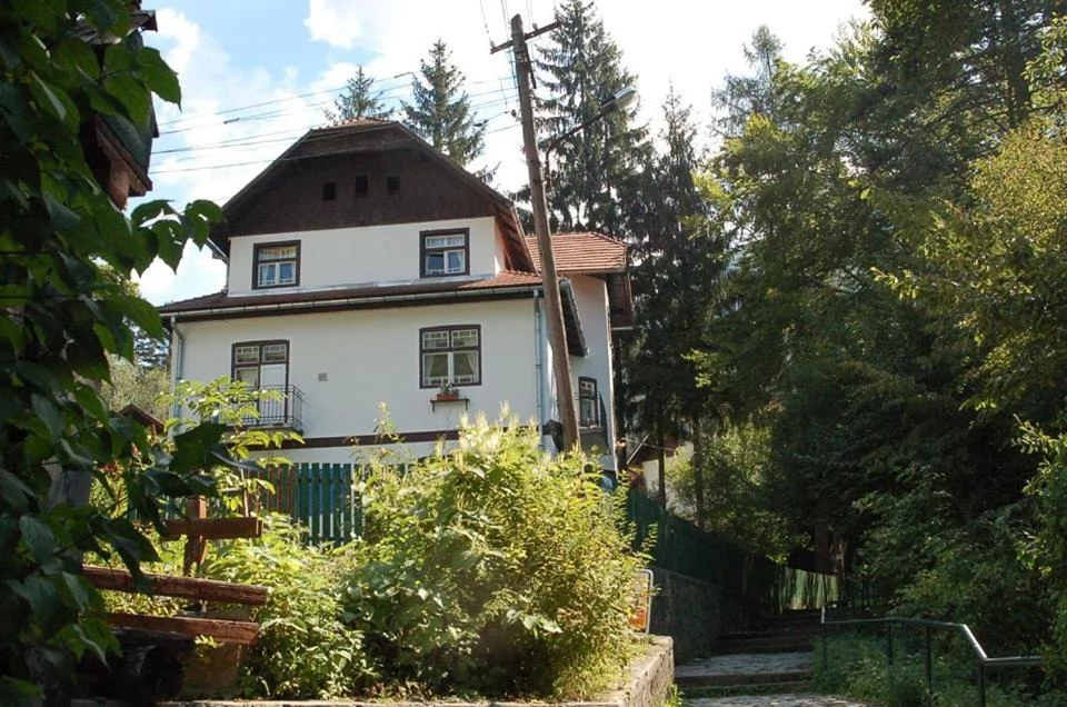 Szállás Băile Tușnad Vila Manyi *** | Tusnádfürdő - Manyi Villa ***. A kép szerzői jogvédelem alatt állhat. Javasolt a kapcsolatfelvétel a jog tulajdonossal.