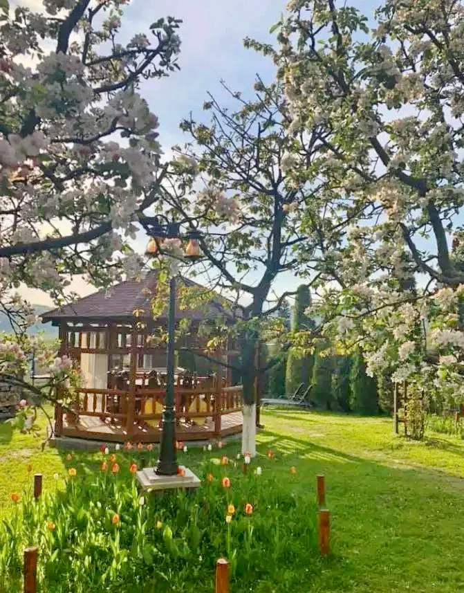 Bixad Cazare | Motel (K1116-25) Imaginea poate fi supusă drepturilor de autor. Se recomandă contactarea titularului drepturilor.