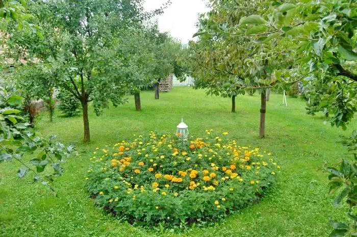 Cazare Bixad - Pensiunea Sólyomkő*** | Sepsibükszád - Sólyomkő Panzió***. Imaginea poate fi supusă drepturilor de autor. Se recomandă contactarea titularului drepturilor.