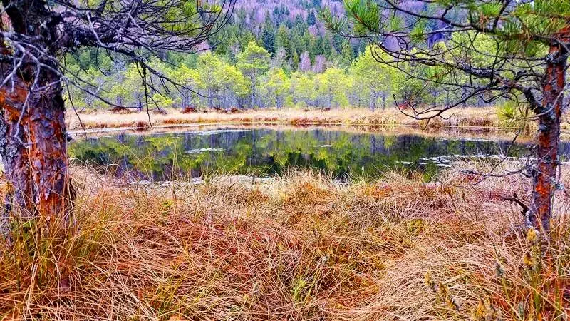 Cazare Bixad - Pensiunea Sólyomkő*** | Sepsibükszád - Sólyomkő Panzió***. Imaginea poate fi supusă drepturilor de autor. Se recomandă contactarea titularului drepturilor.