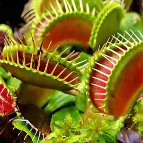 Sepsibükszád Szállás | Motel (K1116-103) A kép szerzői jogvédelem alatt állhat. Javasolt a kapcsolatfelvétel a jog tulajdonossal.