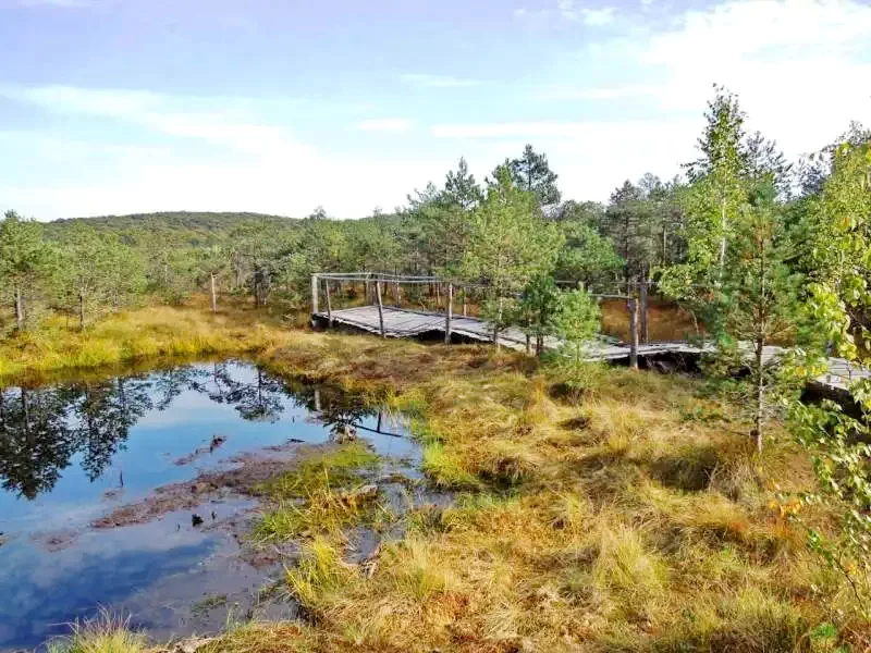 Bixad Cazare | Pensiune (K1116-105) Imaginea poate fi supusă drepturilor de autor. Se recomandă contactarea titularului drepturilor. Bixad Cazare | Pensiune (K1116-105) Imaginea poate fi supusă drepturilor de autor. Se recomandă contactarea titularului drepturilor.