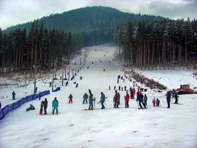 Cazare Bixad - Pensiunea Sólyomkő*** | Sepsibükszád - Sólyomkő Panzió***. Imaginea poate fi supusă drepturilor de autor. Se recomandă contactarea titularului drepturilor.