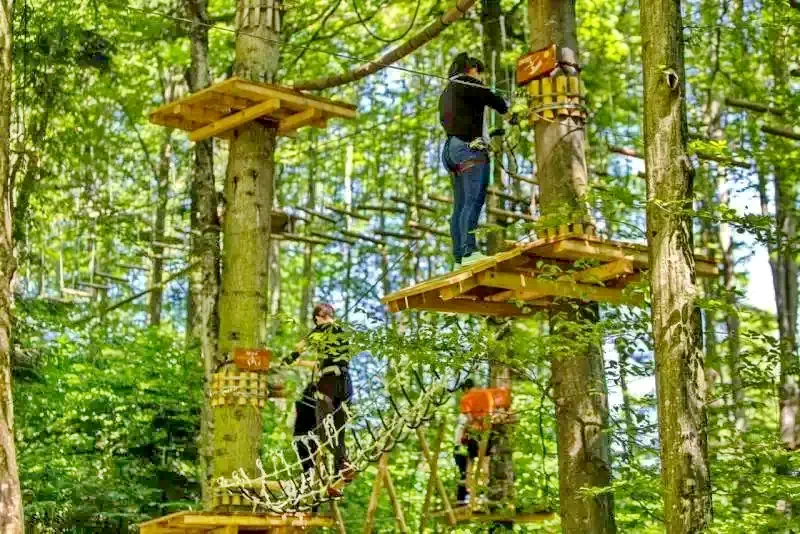 Timișu de Sus Cazare | Pensiune (K1082-47) Imaginea poate fi supusă drepturilor de autor. Se recomandă contactarea titularului drepturilor. Timișu de Sus Cazare | Pensiune (K1082-47) Imaginea poate fi supusă drepturilor de autor. Se recomandă contactarea titularului drepturilor.