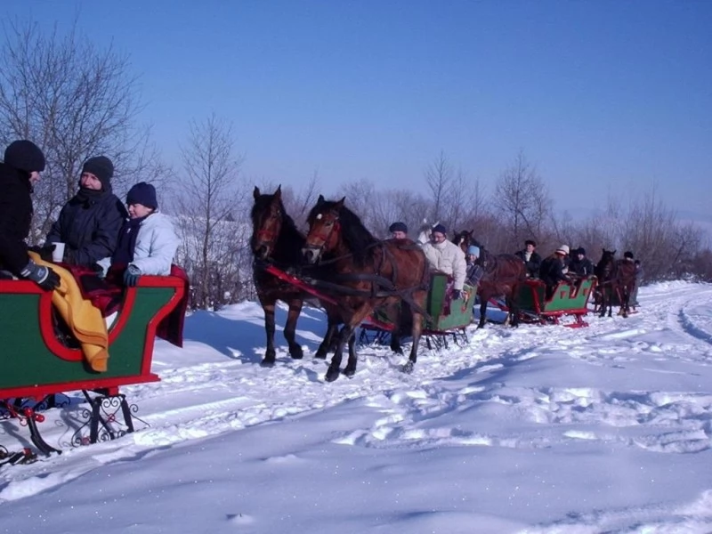Băile Tușnad Cazare | Pensiune (K0590-38) Imaginea poate fi supusă drepturilor de autor. Se recomandă contactarea titularului drepturilor. Băile Tușnad Cazare | Pensiune (K0590-38) Imaginea poate fi supusă drepturilor de autor. Se recomandă contactarea titularului drepturilor.