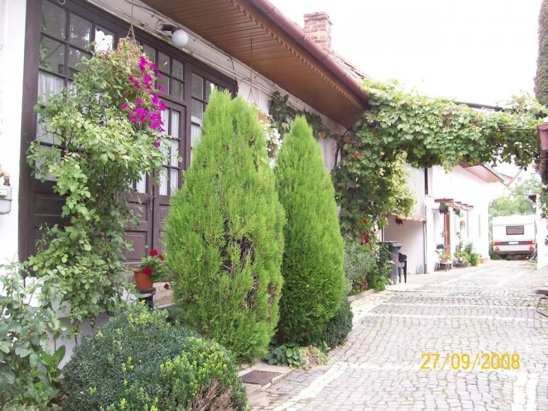 Săcele Cazare | Motel (K0241-5) Imaginea poate fi supusă drepturilor de autor. Se recomandă contactarea titularului drepturilor.