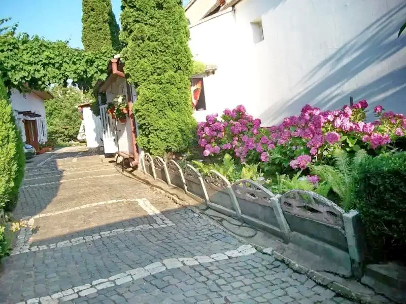 Négyfalu Szállás | Panzió (K0241-26) A kép szerzői jogvédelem alatt állhat. Javasolt a kapcsolatfelvétel a jog tulajdonossal. Négyfalu Szállás | Panzió (K0241-26) A kép szerzői jogvédelem alatt állhat. Javasolt a kapcsolatfelvétel a jog tulajdonossal.