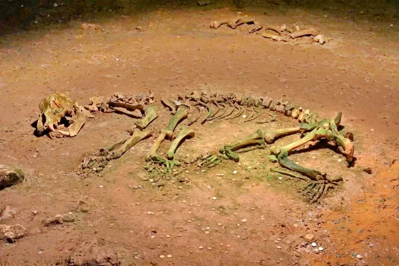 Chișcău Cazare | Pensiune (K0369-52) Imaginea poate fi supusă drepturilor de autor. Se recomandă contactarea titularului drepturilor. Chișcău Cazare | Pensiune (K0369-52) Imaginea poate fi supusă drepturilor de autor. Se recomandă contactarea titularului drepturilor.