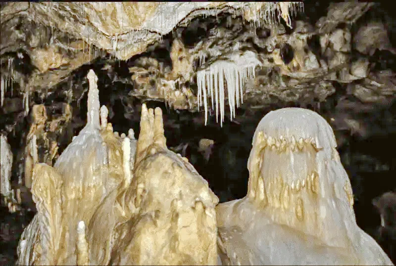 Kiskoh Szállás | Panzió (K0369-57) A kép szerzői jogvédelem alatt állhat. Javasolt a kapcsolatfelvétel a jog tulajdonossal. Kiskoh Szállás | Panzió (K0369-57) A kép szerzői jogvédelem alatt állhat. Javasolt a kapcsolatfelvétel a jog tulajdonossal.